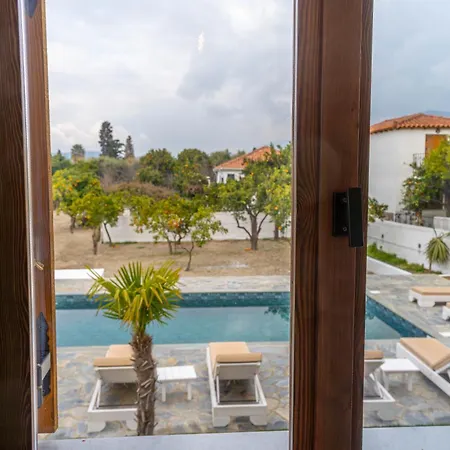 Kostis Orange 沃洛斯