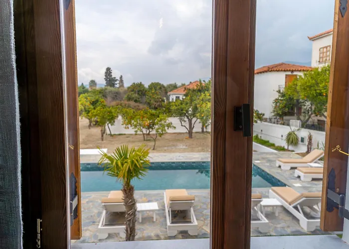 Kostis Orange וולוס